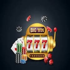 biggwin live